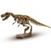 Набір для експериментів Ses Дослідник Розкопки скелета Тиранозавра (25028S)