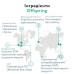 Підгузки Offspring Cat Розмір S 3-6 кг 48 шт (DP-OI-FAT-S48P-MTC)