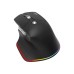 Мишка Acer Easy Fit Wireless Black (HP.EXPBG.021)