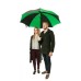 Парасоля Fulton Cyclone S837 Black Green (S837-025284)