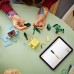 Конструктор LEGO Botanicals Щасливі рослини (10349)