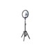 Набір блогера RTAKO ZJ-ZBT01 Live Streaming Stand with Ring Light and Floor Tripod (6942063215400)