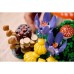 Конструктор LEGO Botanicals Лісові гриби (11505)