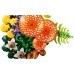 Конструктор LEGO Botanicals Лісові гриби (11505)
