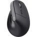 Мишка Trust Bayo + Ergonomic Wireless/Bluetooth Black (25146)