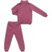 Спортивний костюм Joi флісовий (H-102-122G-pink)