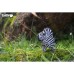 Пазл Eugy 3D Зоопарк Зебра (XEG-011)