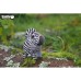 Пазл Eugy 3D Зоопарк Зебра (XEG-011)