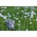 Пазл Eugy 3D Зоопарк Зебра (XEG-011)