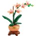 Конструктор LEGO Botanicals Міні орхідея (10343)