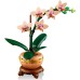 Конструктор LEGO Botanicals Міні орхідея (10343)