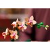Конструктор LEGO Botanicals Міні орхідея (10343)