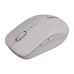 Мишка Canyon MW-12 Wireless/Bluetooth Grey (CNS-CMSW12DG)