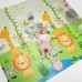Дитячий килимок Lionelo Robby Multicolor (LOE-ROBBY MULTICOLOR)