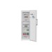 Морозильна камера Beko B1RFNE313W