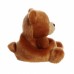 М'яка іграшка Aurora Palm Pals Ведмежа 15 см (200216N)