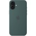 Чохол до мобільного телефона Apple iPhone 16 Plus Silicone Case with MagSafe - Lake Green (MYYH3ZM/A)