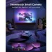Світлодіодна стрічка Govee Набір R2A80 Three-camera TV Backlight 55-65'', RGBIC, WI-FI/Bluetooth, чорний (R2A80C11)