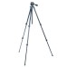 Штатив Vanguard Vesta 203AP (DAS301563)