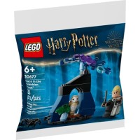 Конструктор LEGO Harry Potter Драко у Забороненому лісі (30677)