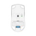 Мишка A4Tech FG50 Plus Wireless White (4711421002813)
