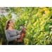 Кущоріз Einhell Professional GP-CH 18/50 Li BL - Solo, 18V, 56cm, крок 20mm (без АКБ та ЗП) (3410950)