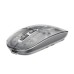 Мишка Havit MS62WB Pro Wireless Transparent Gray (6939119045128)