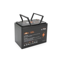 Батарея LiFePo4 Litime 12.8V-100Ah 1280Wh (Li-Time-GR24-12.8-100)