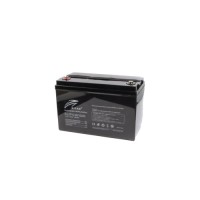 Батарея LiFePo4 Ritar 12,8V 100Ah (R-LFP12.8V100AH)