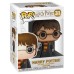 Фігурка Funko Pop Гаррі Поттер з совою (11915-PX-1K1)