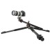 Штатив Vanguard Alta Pro 263AB 100 (DAS301277)